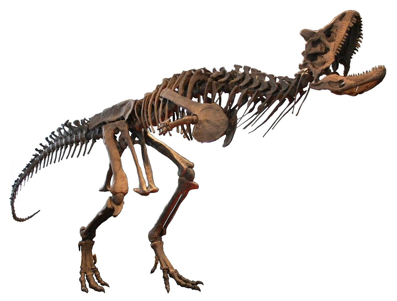 Theropods in What Is Now Downtown London: Urban Ground Beneath Your Feet