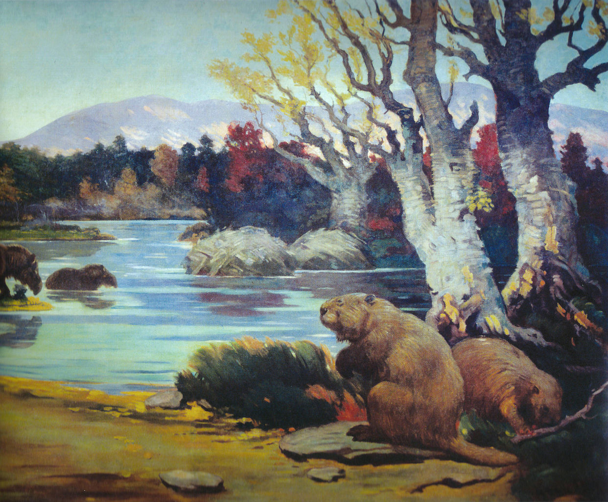 #9 - The Giant Beaver That Was Nearly as Big as a Black Bear