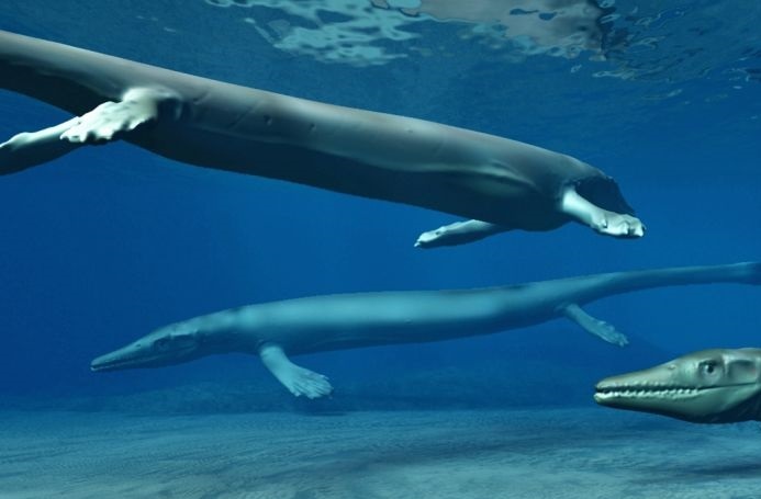 Mosasaur “Baby-Killers”: Clidastes and Smaller But Deadly Species