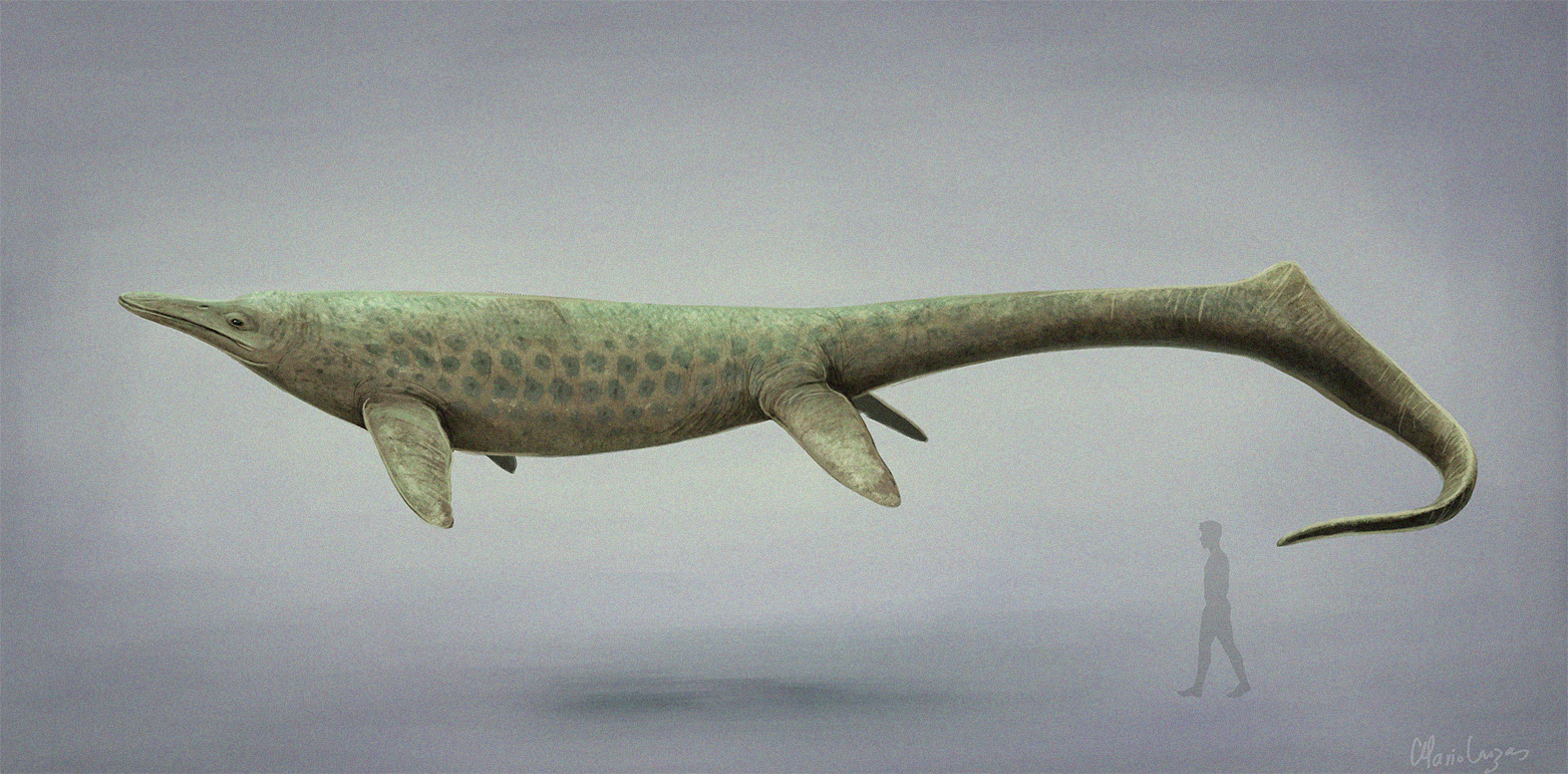 #11 - Cymbospondylus, the Giant Who Rose From Mass Extinction