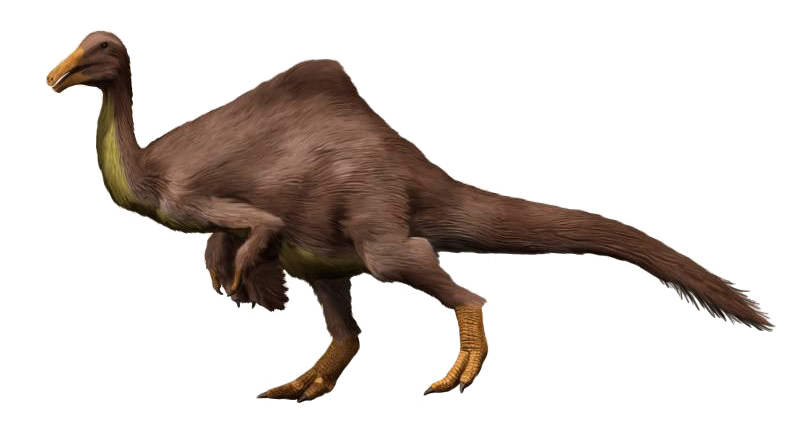 #9 - Deinocheirus, the "Monster Arms" That Hid a Gentle Giant