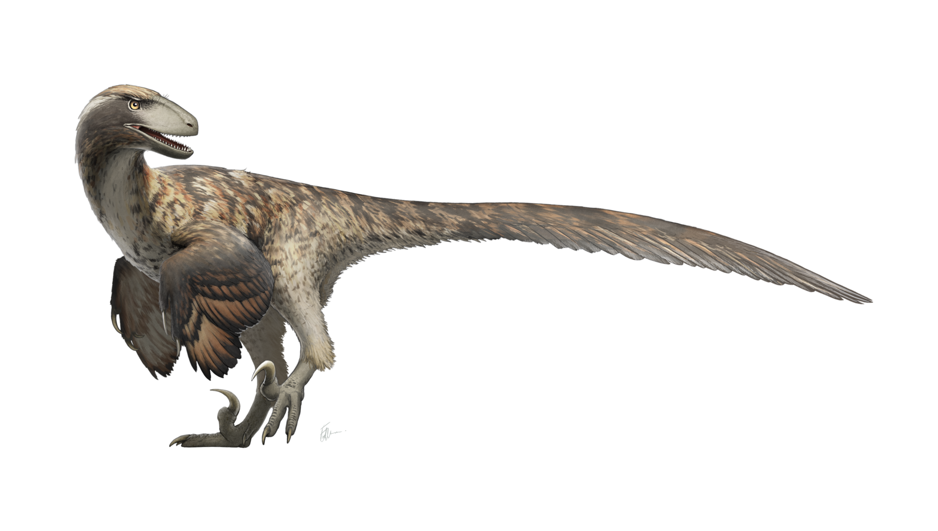 #2 - Deinonychus: The Raptor That Quietly Rewrote the Dinosaurs