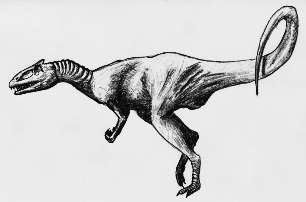 #15 - Deltadromeus agilis: The Fast Runner With No Face