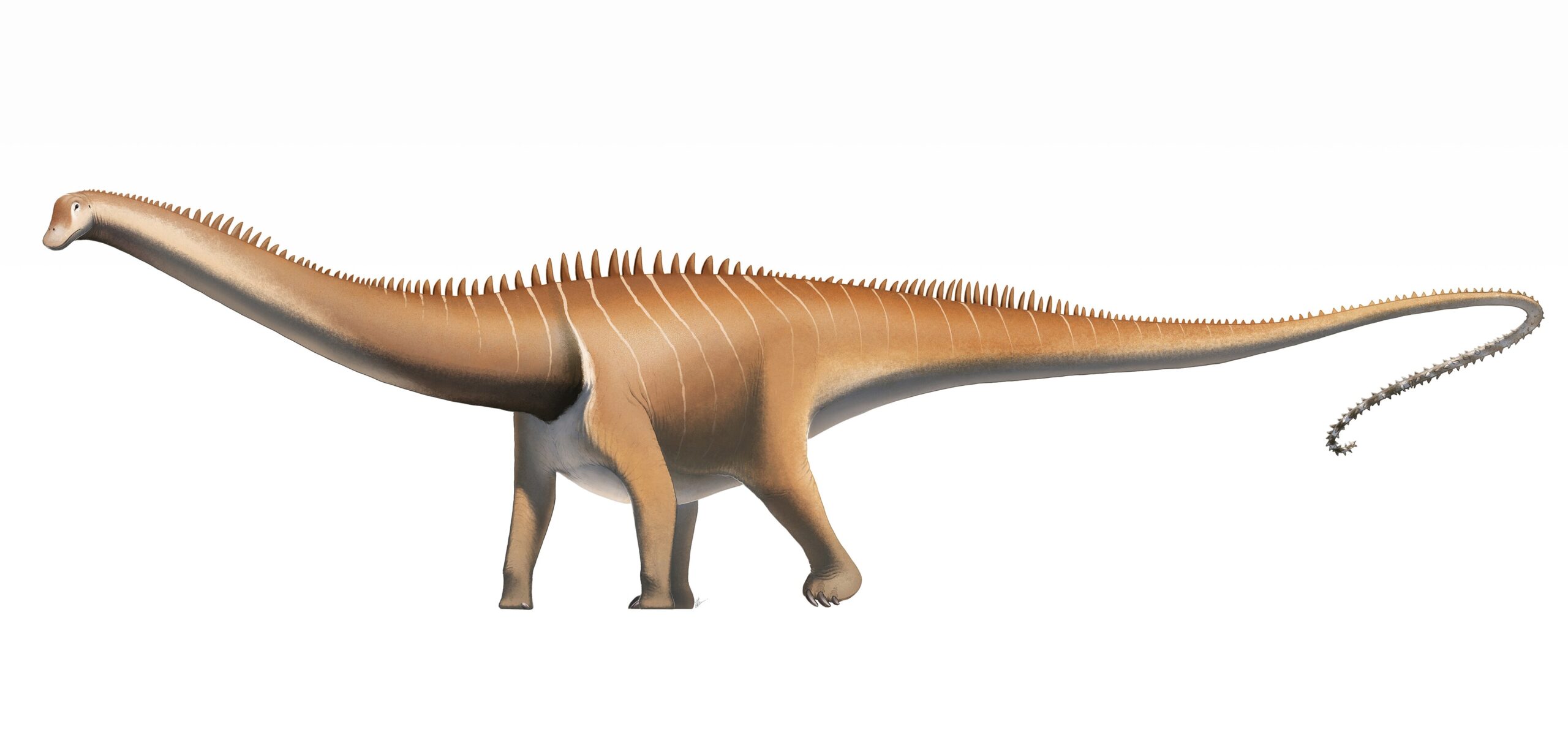 #5 - Did Dinosaur Tails Actually Crack Like a Whip? 