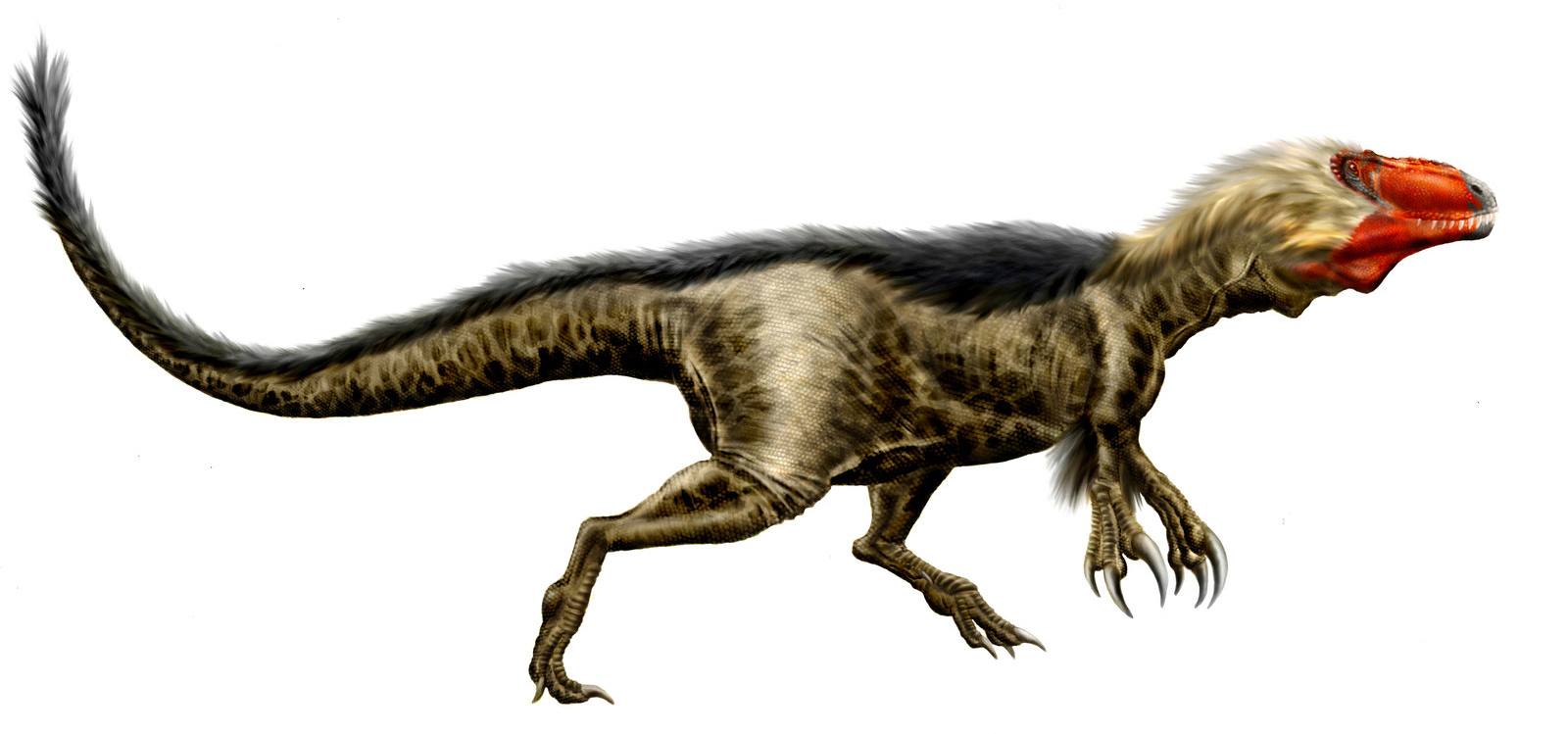 11 - Renamed Because of a Mite