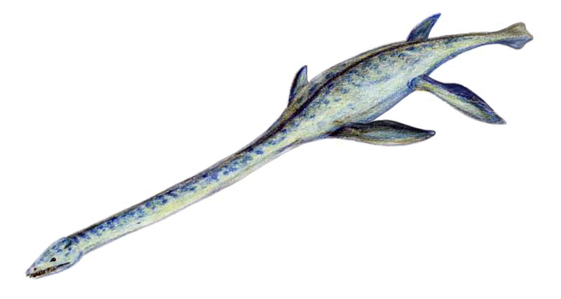 Pisces – Elasmosaurus, the Dreamy Deep Dweller