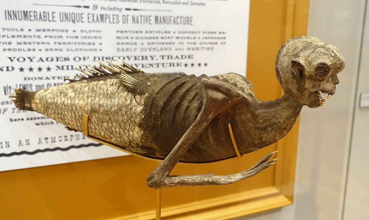 #9 - The Sewn-Together Mermaid That Fooled a Museum Audience