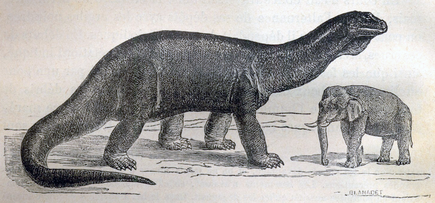 #14 - Atlantosaurus: The Sauropod Overshadowed and Then Erased