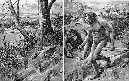 #12 - Nebraska Man: The "Human Ancestor" That Was Just a Pig Tooth