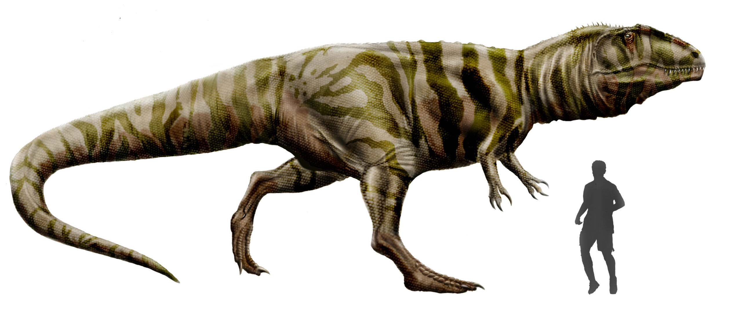 #7 - Giganotosaurus: The "T. Rex Killer" That Got Cut Down to Size