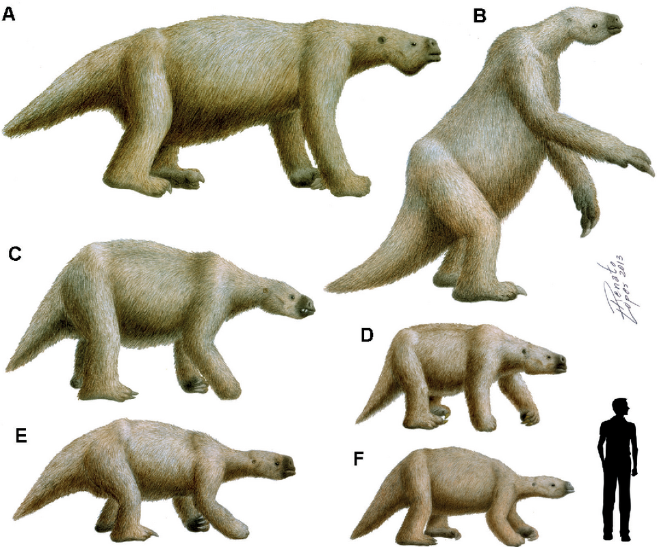 #4 - The 2,200-Pound Sloth That Outweighed a Grand Piano