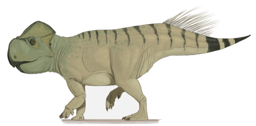 #18 - Gryphoceratops and the Tiny Horned Dinosaurs Stuck in Limbo