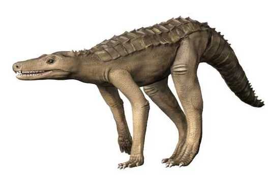 What These Ancient Croc Relatives Tell Us About Evolution (And Ourselves)