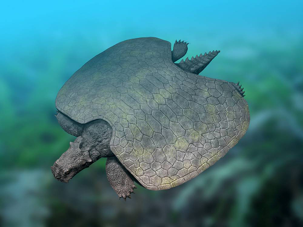 #12 - Henodus, the Placodont Wearing a Turtle Costume