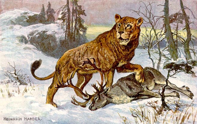 #4 - Cave Lions Prowled Into the Age of Farmers