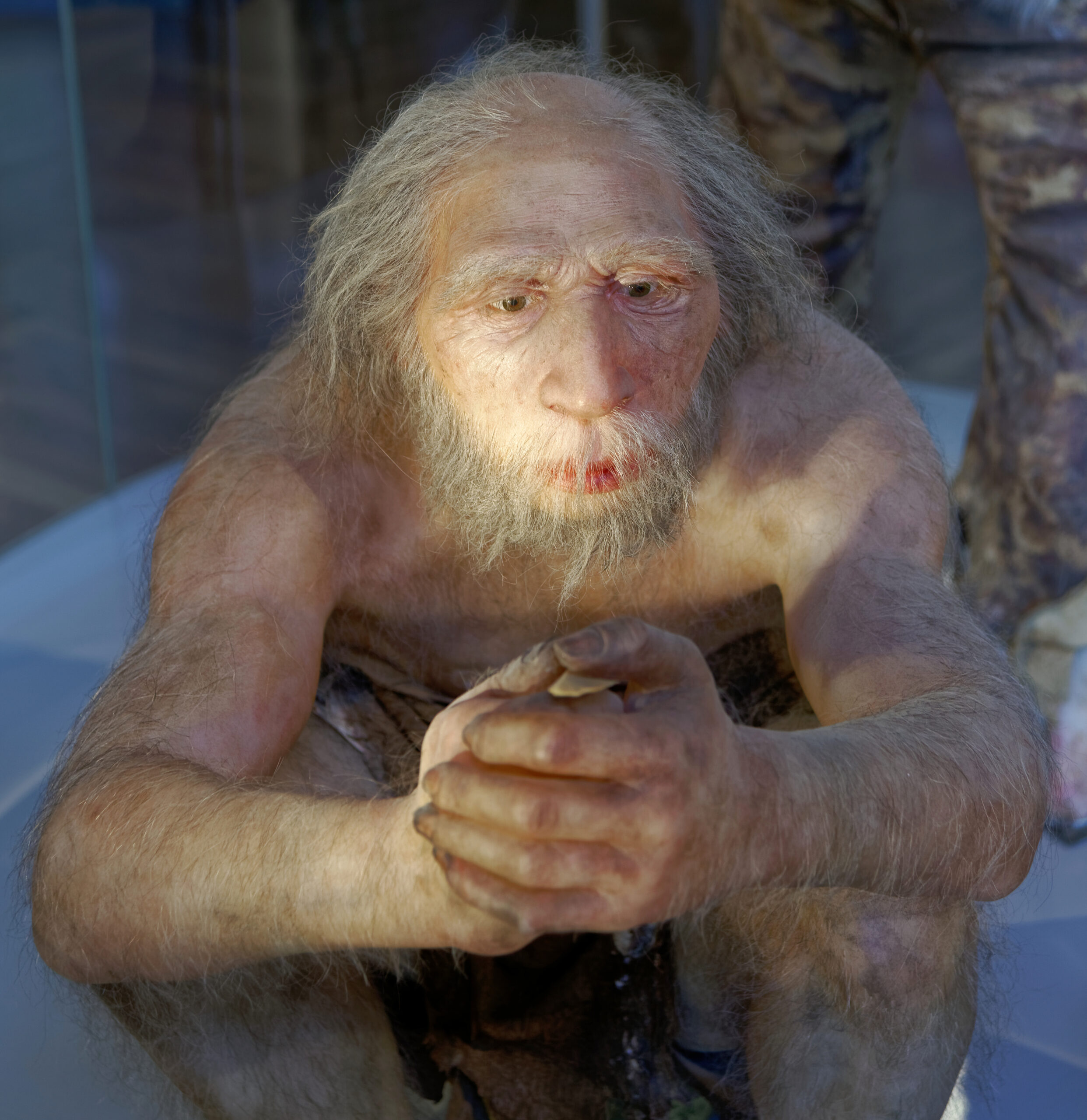 #11 - The Glue Neanderthals "Shouldn't" Have Been Able to Make