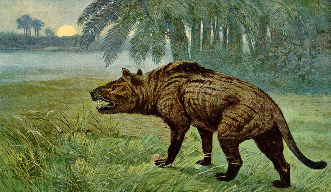 #3 - Hyaenodon, the "Super Predator" That Isn't a Hyena at All