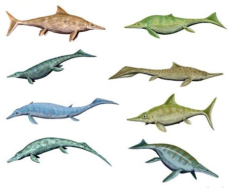 Diversifying Into Many Kinds Of Sea Monsters
