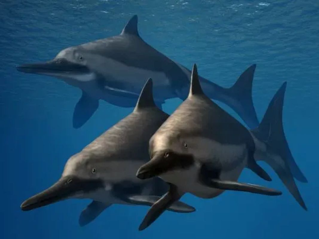 Pisces: Ichthyosaurus, the dreamy swimmer of ancient seas 