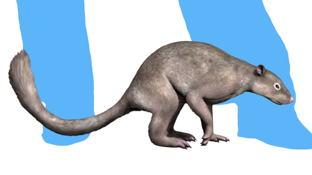 #2 – Tiny Primates That Somehow Survived the Total Darkness of Arctic Winters