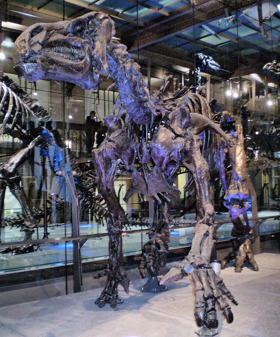#7 - The Forgotten Iguanodon Splinter Species That Got Folded Back In 
