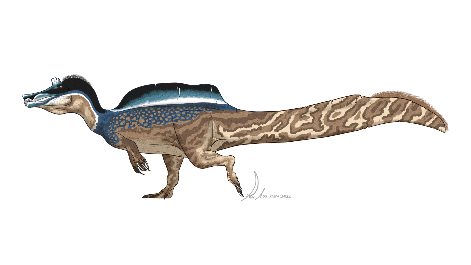 3. Irritator challengeri – The Paleontologist Annoyance
