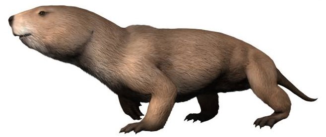 Early Mammals Like Kayentatherium: Many Babies, Big Investment