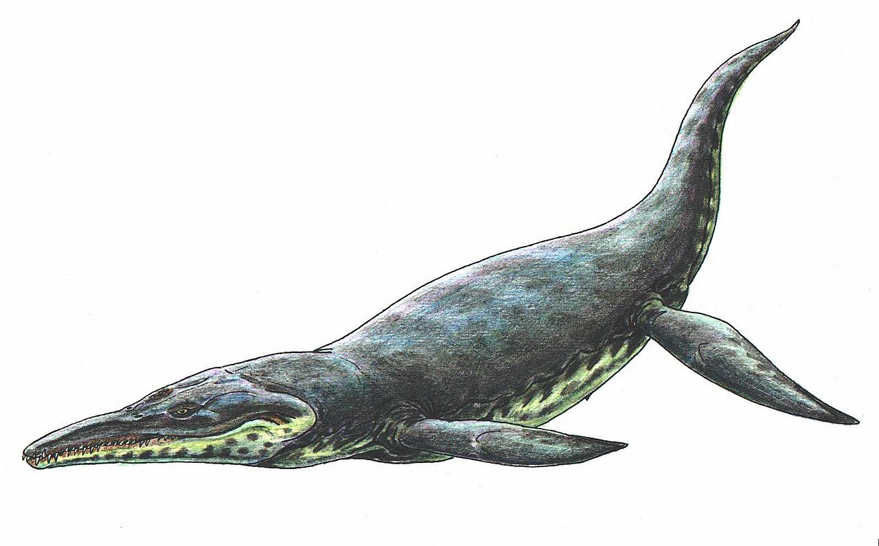 Kronosaurus: The Short-Necked Juggernaut With Titanic Jaws