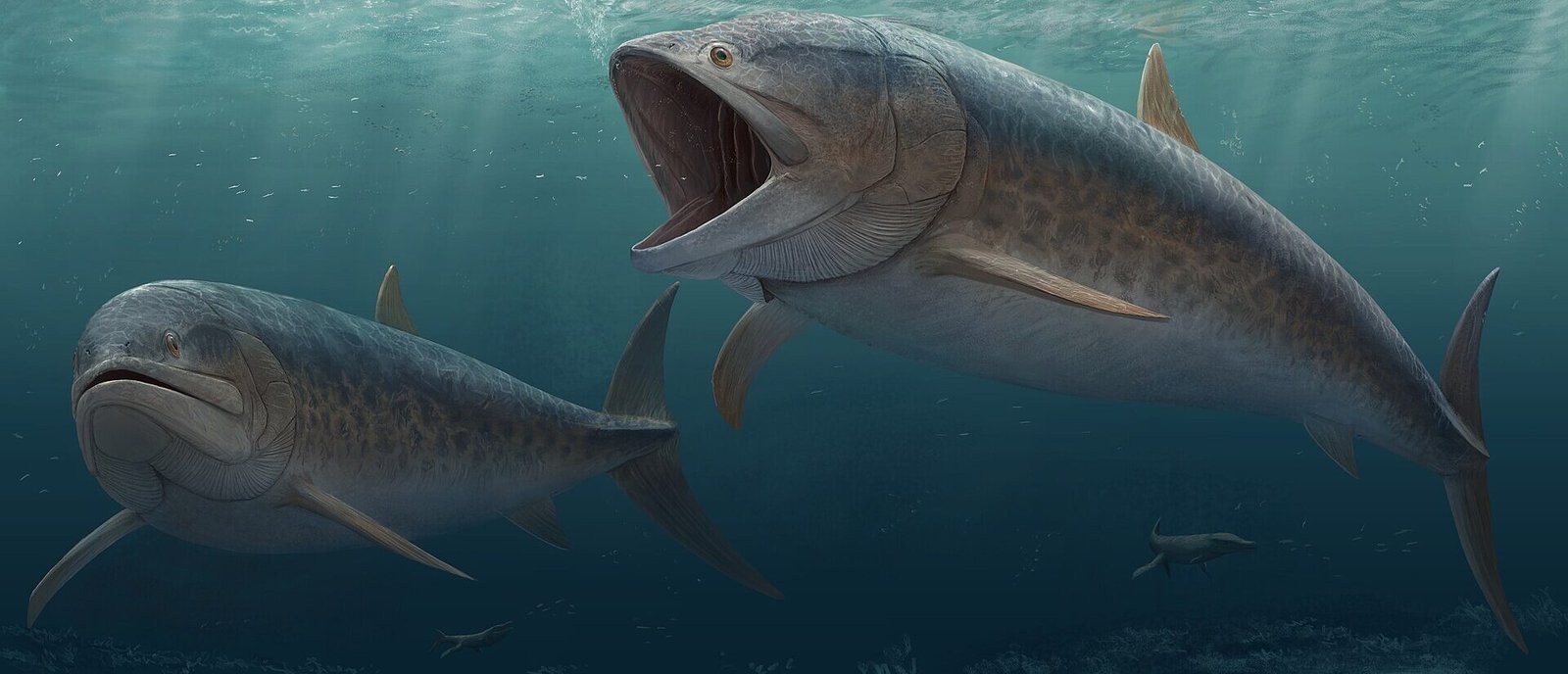 #5 - Leedsichthys problematicus: The Fish With a Very Honest Name
