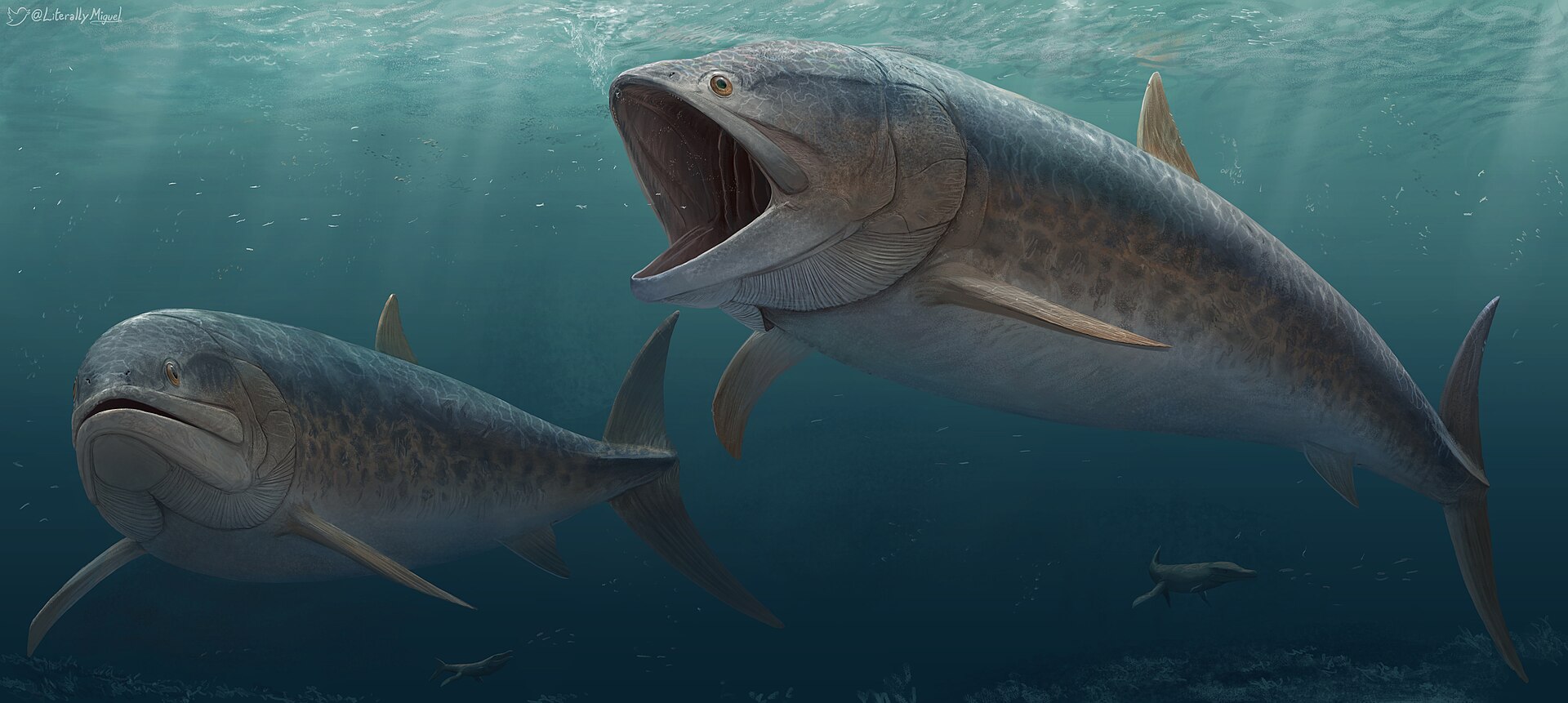 #3 - Leedsichthys, the Gentle Giant Nobody Can Actually Measure