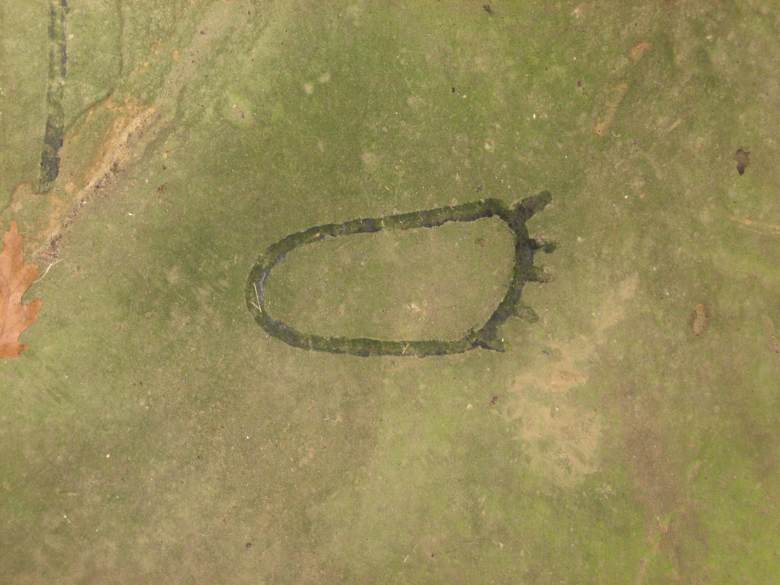 #11 - Human-Like Footprints In Rock Millions Of Years Too Old