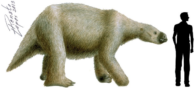 Giant Ground Sloths: Gentle Giants of the Americas