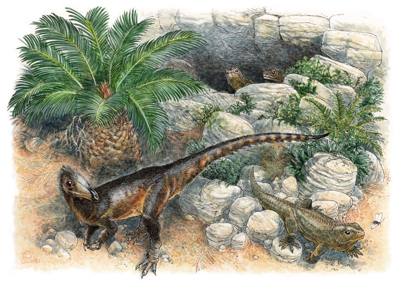 #23 - Pendraig milnerae: A Welsh Predator Built From Scraps
