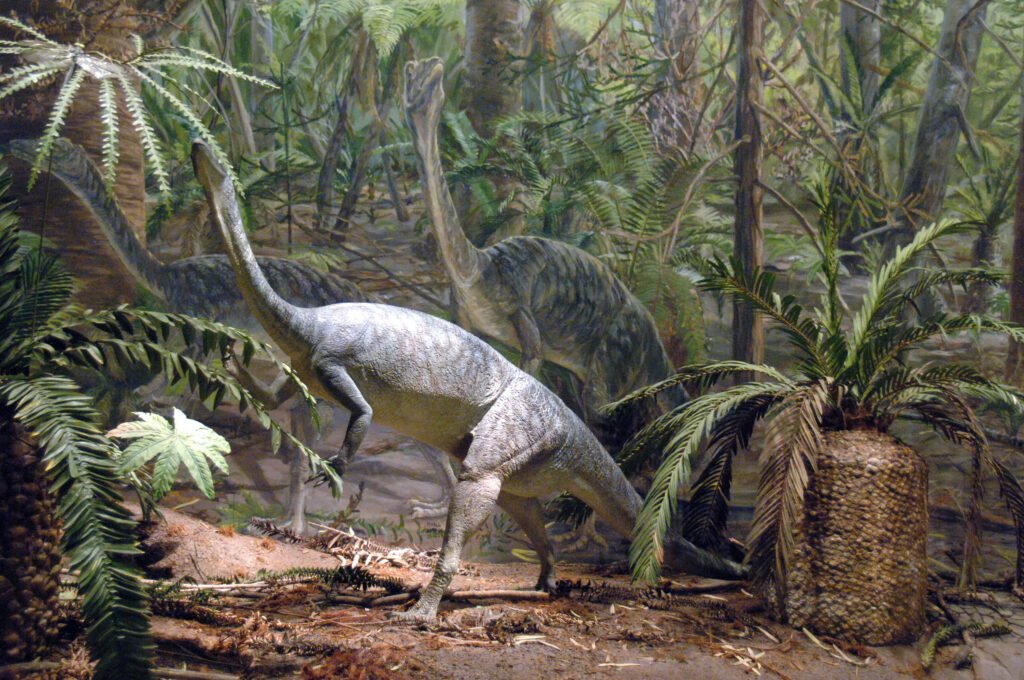 The First Dinosaurs Are Closer in Time to T. rex Than T. rex Is to Us - but Not by as Much as You Might Think