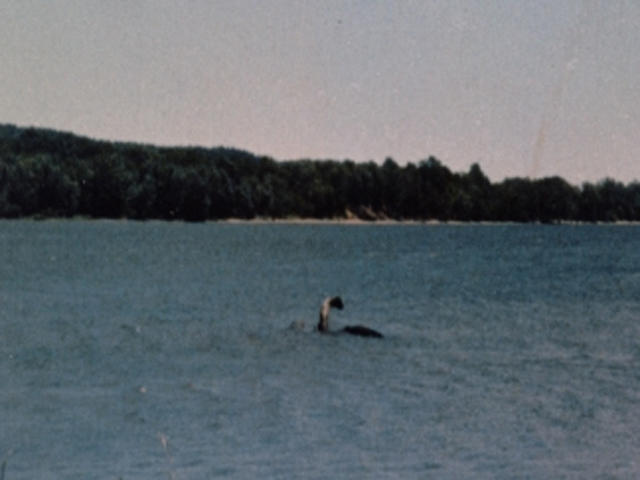#21 - The Lake Champlain Photo That Became "Scientific" Evidence