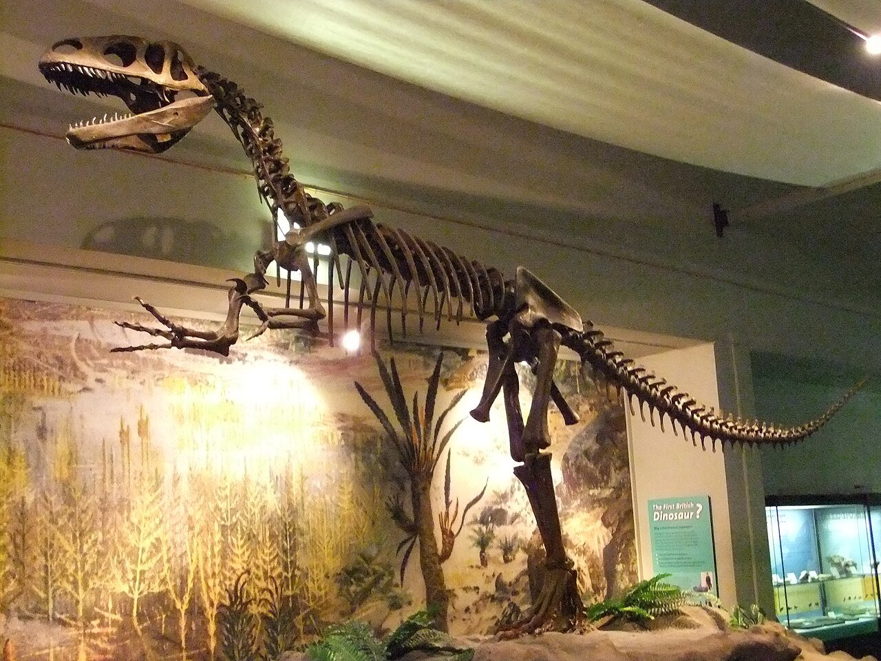 #8 - Megalosaurus, the First Dinosaur Ever Named - and Immediately Misdrawn