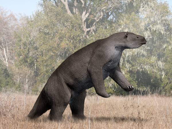 Cancer – Megatherium, the Giant Ground Sloth (Protective Endurance and Quiet Power) 