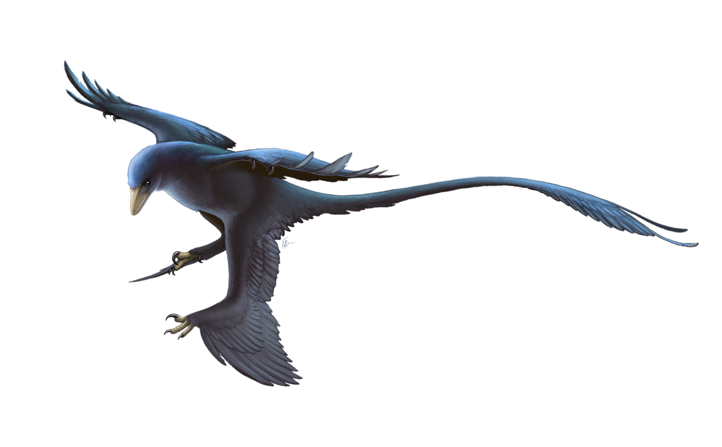 5. Microraptor – gorgeous, gliding chaos in your ceiling fan