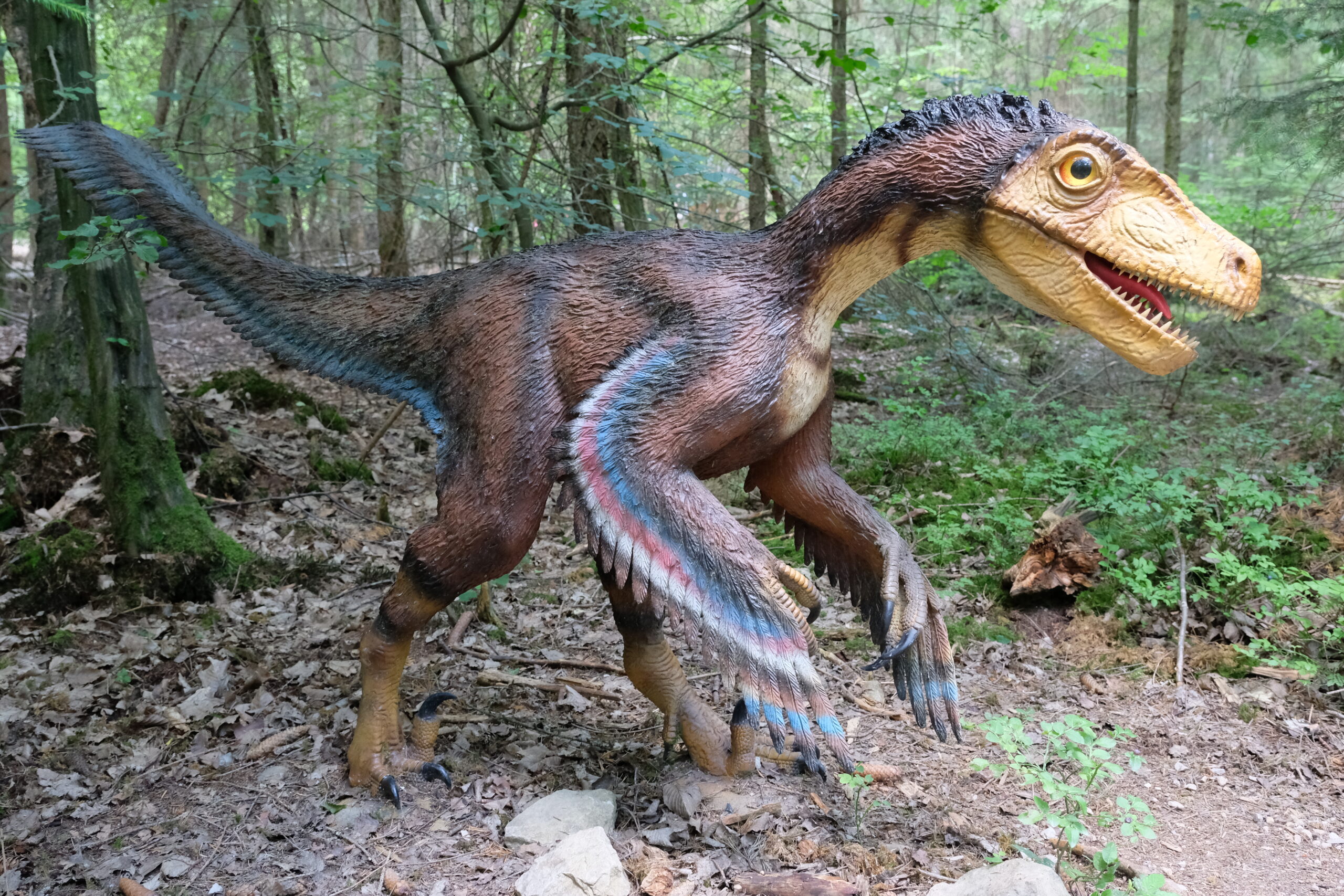 #8 - It Targeted Small Prey, Not Giant Herbivores