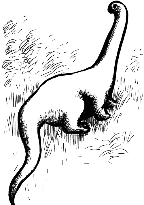 #8 - The "Mokele-Mbembe Dinosaur Bone" That Was Just Crocodile