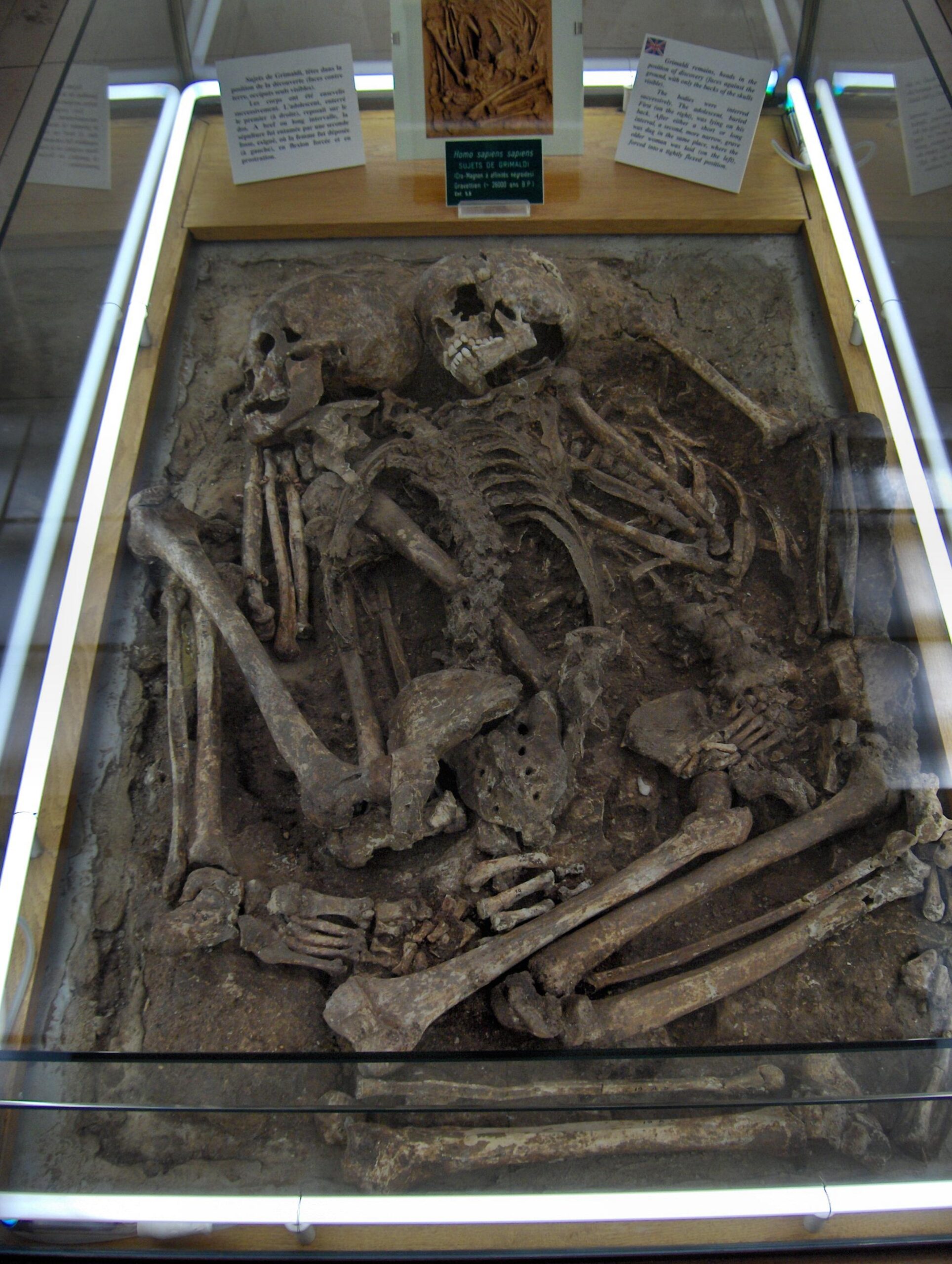 #7 - One Cave, Wildly Different Burials, No Explanation for the Difference 