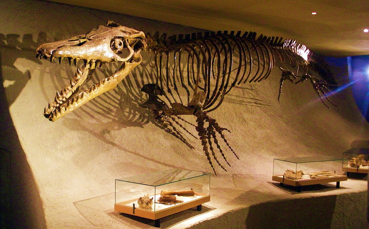 #16 - Mosasaur Fragments Showing Up in the "Wrong" Chapter of the Cretaceous