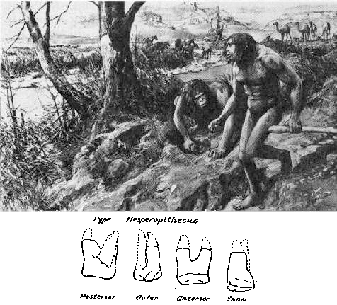 #11 - "Nebraska Man" Turned Out to Be a Pig