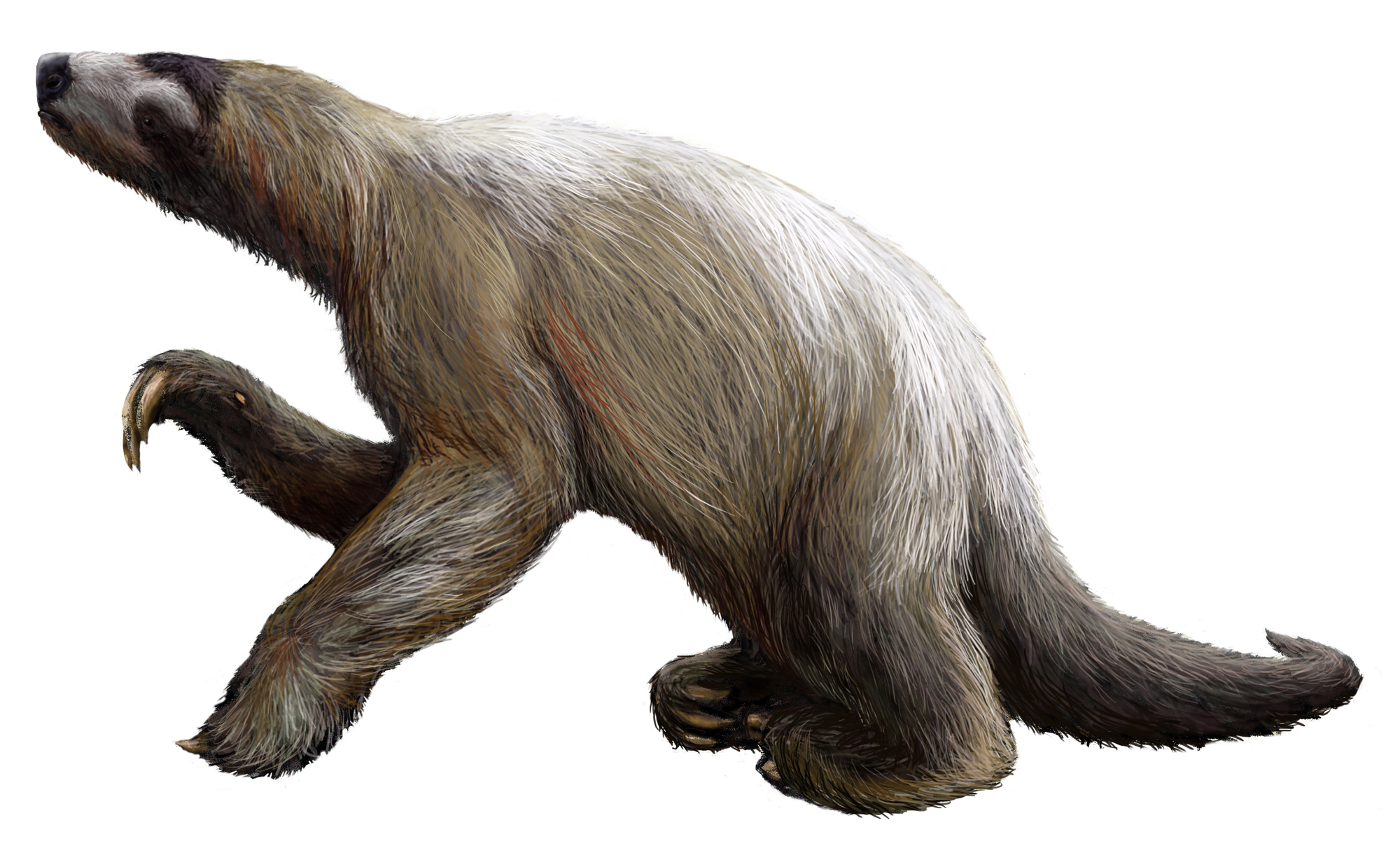 #5 - The Sloth That Stretched From California to the Yucatan