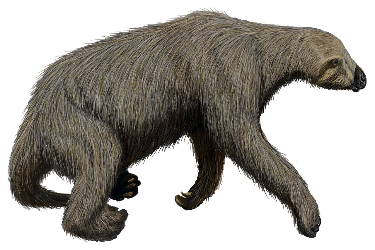 #8 - Harlan's Ground Sloth: A Bear-Sized Herbivore With Claws Like Machetes