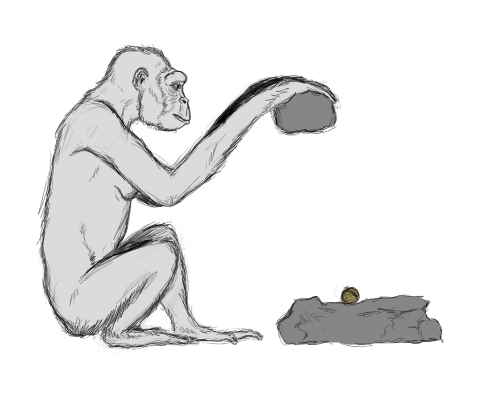 #21 - Ardipithecus kadabba Was Basically a Placeholder Name