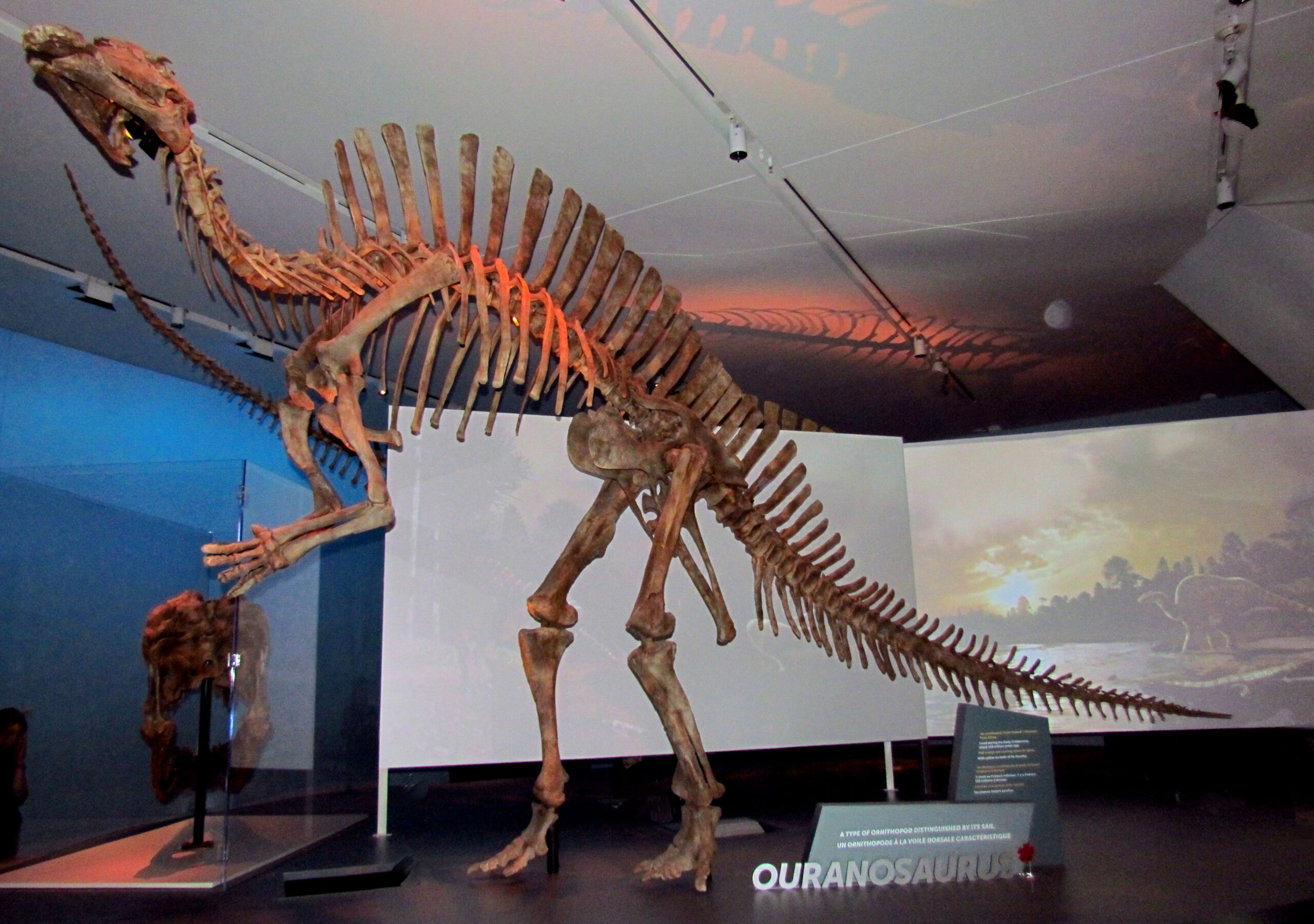 #16 - The Complete Dinosaur Skeleton Italy Forgot to Publish