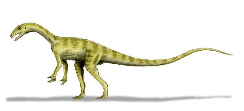 Pantydraco: Not What You’re Thinking 