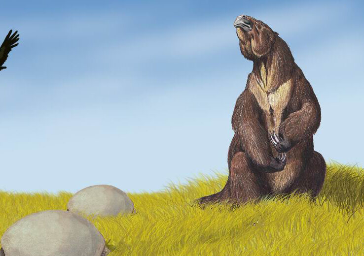 #11 - Giant Ground Sloths Survived Almost to the Bronze Age
