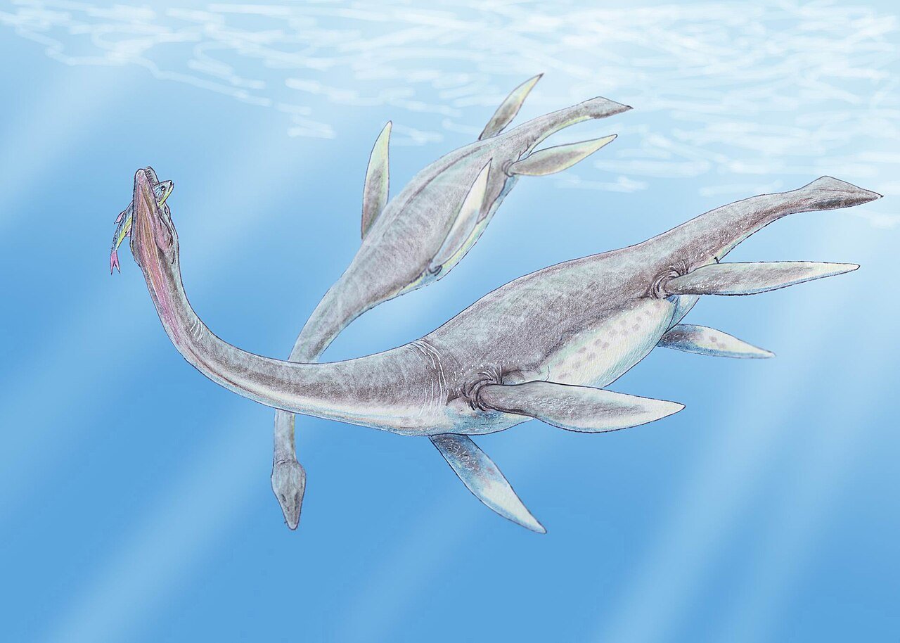 Libra – Plesiosaurus, the Graceful Swimmer of Balance